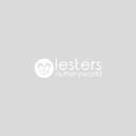 SnuzBaskit Dark Grey Moses Basket & Natural Stand - Moses Baskets - Image 3