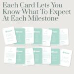 Owlet Milestone Cards – Gift Sets - Baby Travel Owlet Milestone Cards - Gift Sets