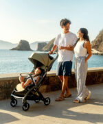 iCandy Pip Pushchair - Sage