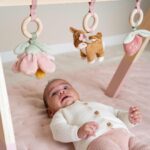 Little Dutch Babygym - Fairy Garden