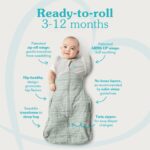 Love to Dream Swaddle Up Transition Bag (1.5 Tog) - Oatmeal