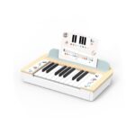 Speedy Monkey Piano Keyboard